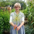 Bulbi Allium Arctic Snow (Ceapa decorativa)