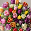 Pachet Bulbi Lalele Premium Mix50 (Tulip) lalele premium mix 50 bulbi flori calitate 110x110