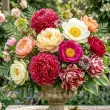 bujori paeonia mix 10 radacini calitate superioara toamna 110x110
