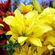 Bulbi Crin Fata Morgana (Lilium) - Toamna crin fata morgana flori galbene dublu detaliu 110x110