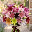 Pachet Bulbi Crini Toamna Mix10 (Lilium) crini regali mix 10 bulbi plantare toamna parfumat 110x110