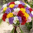 Pachet Bulbi Frezie Toamna Mix50 frezii parfumate mix 50 bulbi gradina si ghiveci toamna 110x110