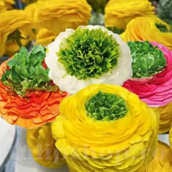 Bulbi Ranunculus Elegance Festival Mix (Piciorul Cocosului)