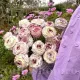 ranunculus elegance bianco striato bulbi flori premium