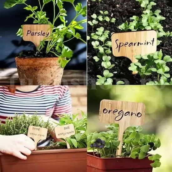 Etichete bambus dreptunghi6