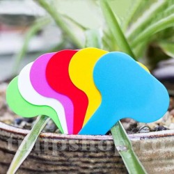 Etichete plante plastic multicolore oval