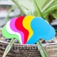 Etichete plante plastic multicolore oval3