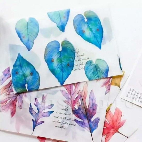 Set plicuri translucide floral