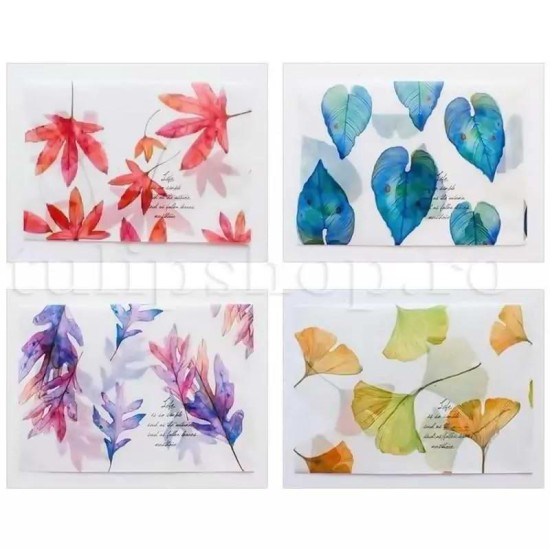 Set plicuri translucide floral2