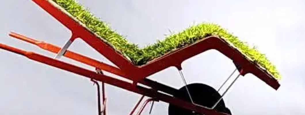 Alegerea Gazonului Potrivit