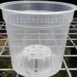 Ghiveci transparent pentru orhidee 1,4l ghiveci plastic transparent orhidee 1 4L drenaj 110x110