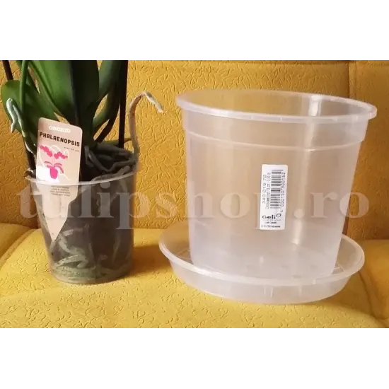 ghiveci plastic transparent orhidee 3 5L drenajw