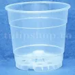 ghiveci transparent orhidee 19cm 3 5 litri 110x110
