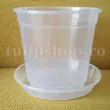 ghiveci transparent orhidee 3 5L plastic 110x110