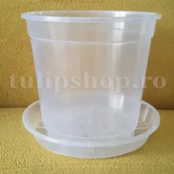 Ghiveci transparent pentru orhidee 3,5l