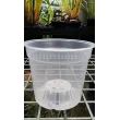 Ghiveci transparent pentru orhidee 3,5l ghiveci transparent pentru orhidee 110x110h