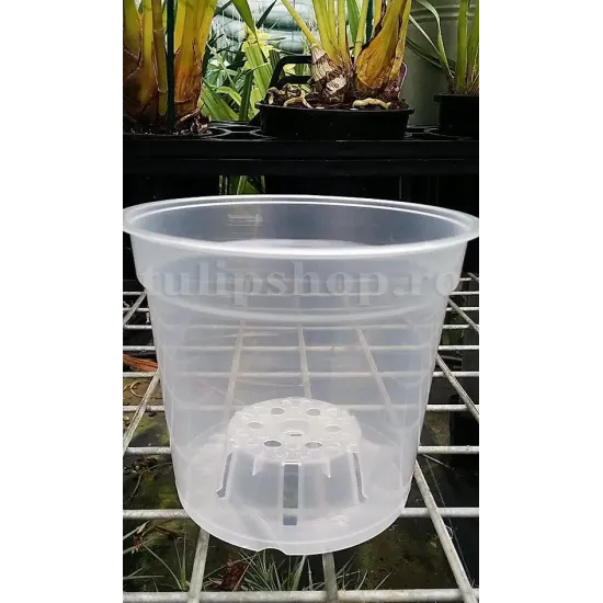 ghiveci transparent pentru orhideeh