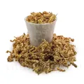 Muschi Sphagnum Chilean sortat 1,4l