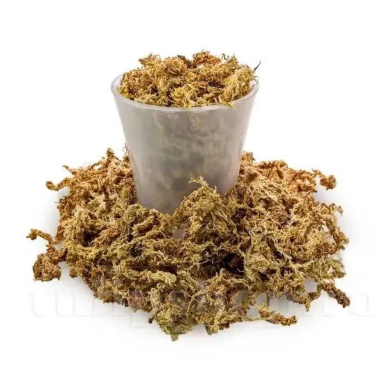 Muschi Sphagnum Chilean sortat 1,4l muschi sphagnum chilean sortat substrat orhidee