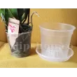 Ghiveci transparent pentru orhidee 1,4l pachet ghivece transparente orhidee 1 4L tulip shop 110x110w