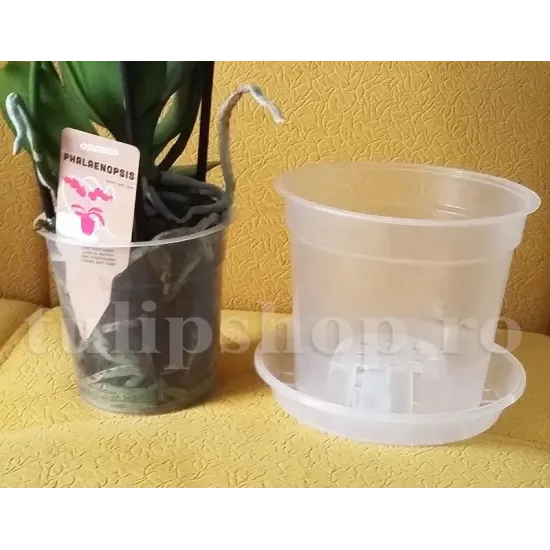 Ghiveci transparent pentru orhidee 1,4l pachet ghivece transparente orhidee 1 4L tulip shopw