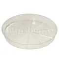 Tavita transparenta ghiveci orhidee 1,4l