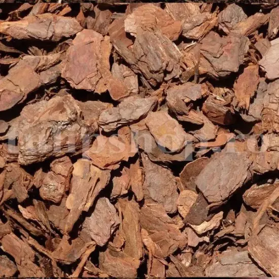 scoarta pin pentru orhidee2