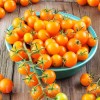 Pachet XXL seminte tomate Figiel 2.000buc.
