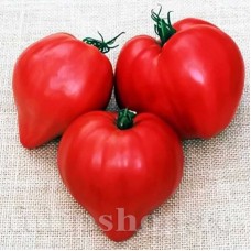 Pachet XXL seminte tomate Inima de Bou 1.000buc.