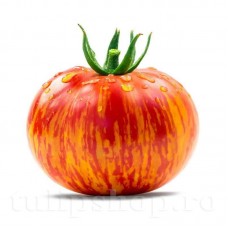 Pachet XXL seminte tomate Tigerella 2.000buc.