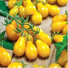 Pachet XXL seminte tomate Yellow Pear 2.000buc.