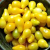 Seminte tomate Yellow Pear 200buc.