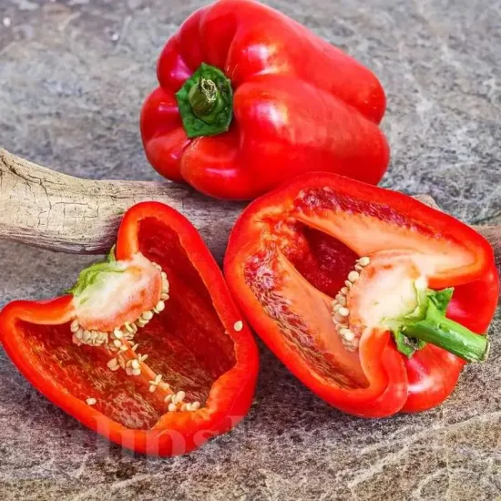 pachet seminte ardei quadrato dasti rosso tulip shop