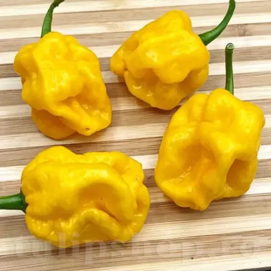 Seminte ardei iute Habanero Lemon 50buc. seminte ardei iute habanero lemon galben aromat