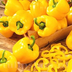 Seminte ardei gras Marta Polka 100buc. Seminte ardei gras Marta Polka 100buc.