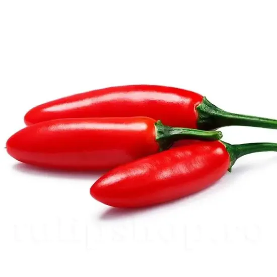 seminte ardei serrano1