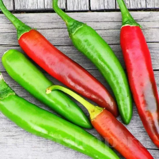 seminte ardei serrano3