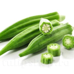 Seminte bame Clemson Spineless 100buc.