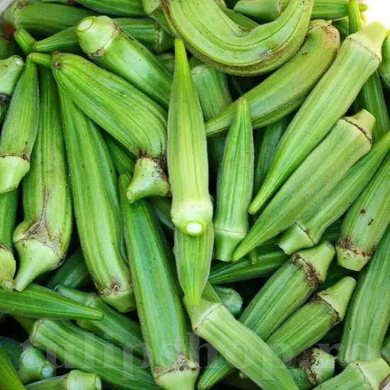 seminte bame emerald