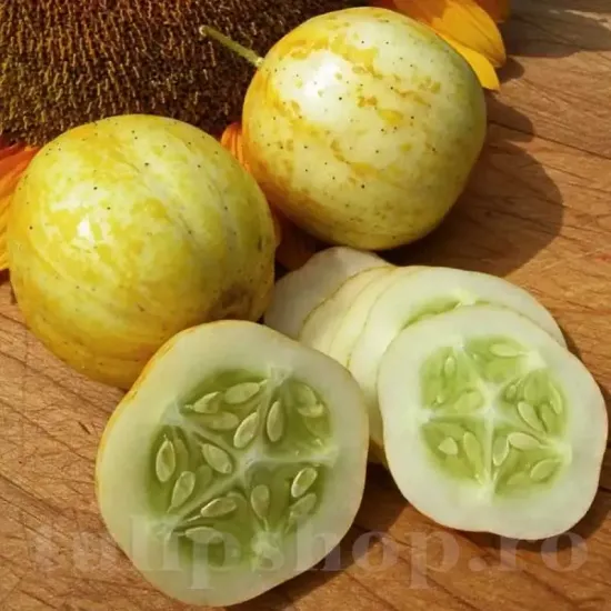 pachet seminte castravete lemon tulip shop