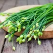 Seminte cepsoara Garlic Chives 500buc. seminte ceapa garlic chives2 110x110