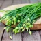 Seminte cepsoara Garlic Chives 500buc.