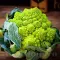 Seminte conopida Romanesco Natalino 400buc.