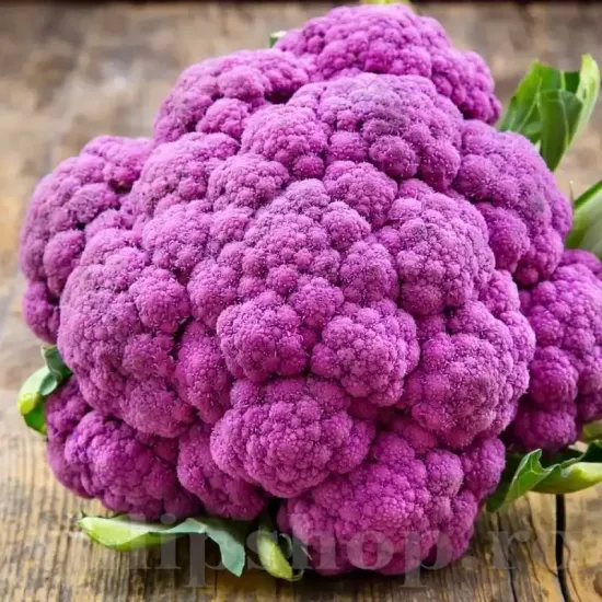 Seminte conopida Violetto di Sicilia 400buc. seminte conopida violetto di sicilia violet gustos productiv