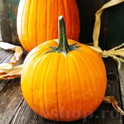 Pachet XXL seminte Dovleac Howden 300buc.