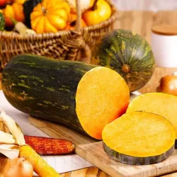 Pachet XXL seminte Dovleac Lunga Piena di Napoli 300buc.