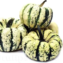 Pachet XXL Seminte Dovleac Sweet Dumpling 300buc.