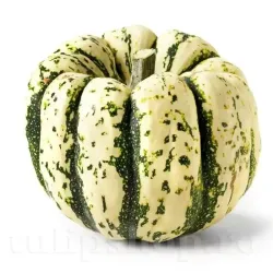 Pachet XXL Seminte Dovleac Sweet Dumpling 300buc.