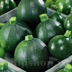 Pachet XXL seminte dovlecei Tondo di Piacenza 500buc.