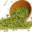 vigna radiata mung plantare cuiburi 110x110